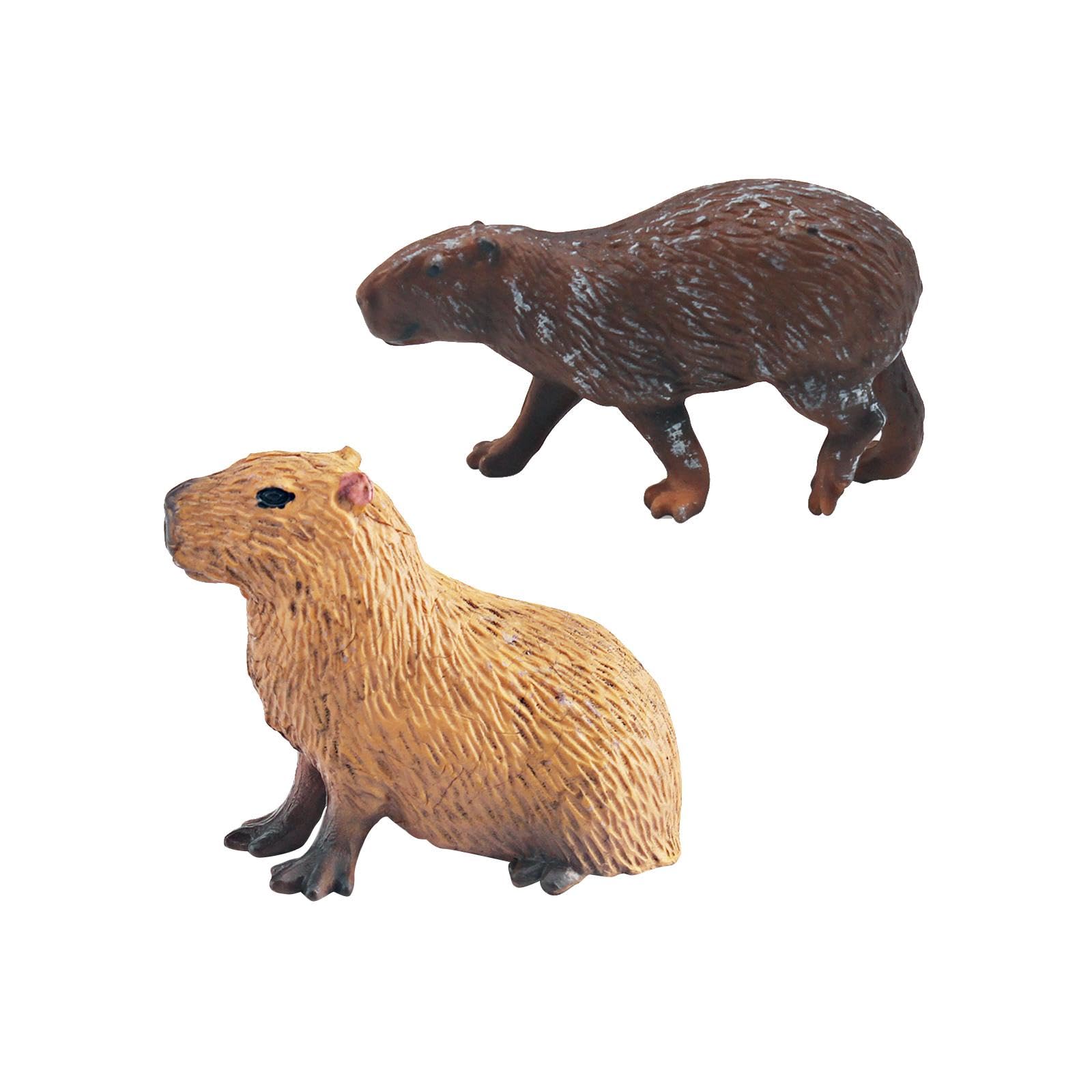 Amazon.co.jp: Aymzbd カピバラおもちゃフィギュア リアルなミニ